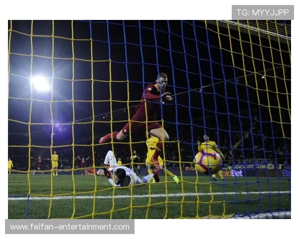 弗罗西诺内俱乐部：意大利足球的崛起与挑战之路